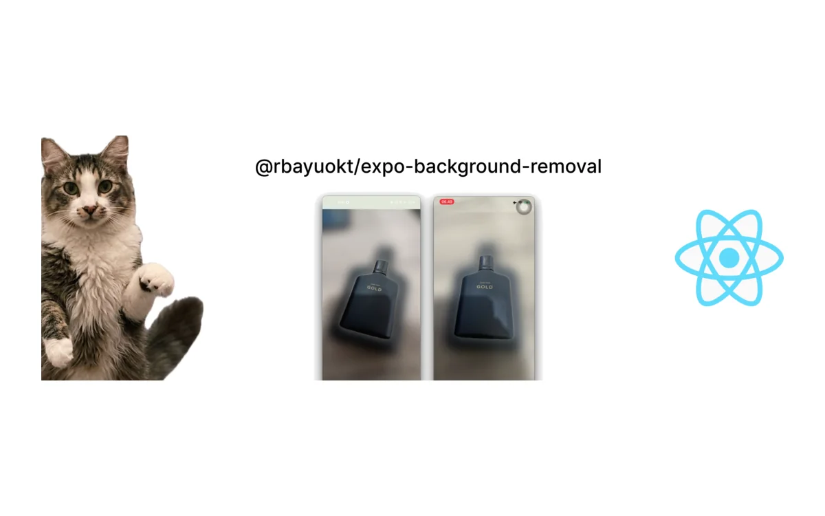 expo-background-removal preview