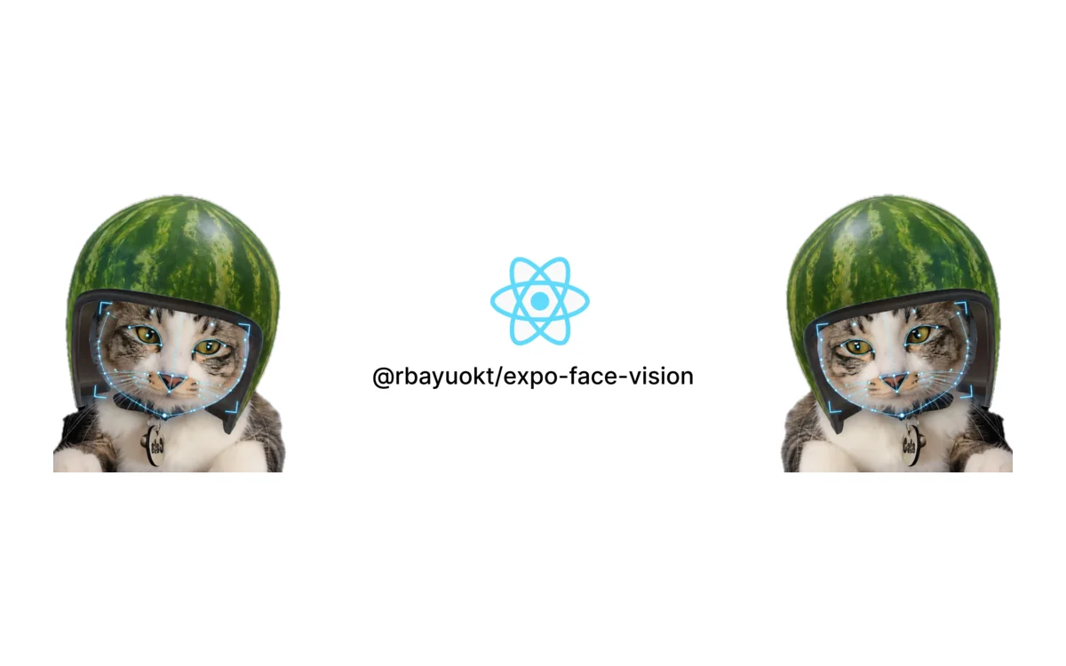 expo-face-vision preview