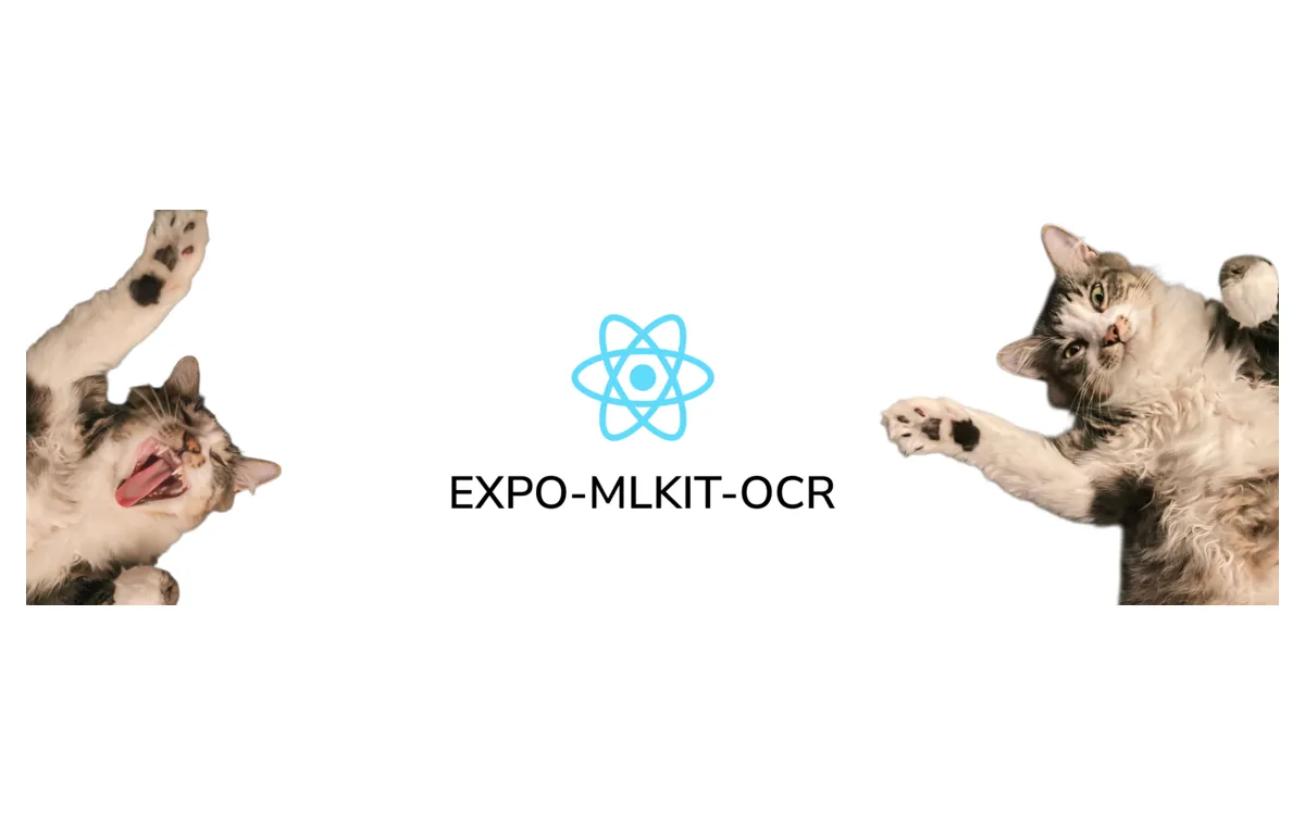 expo-mlkit-ocr preview